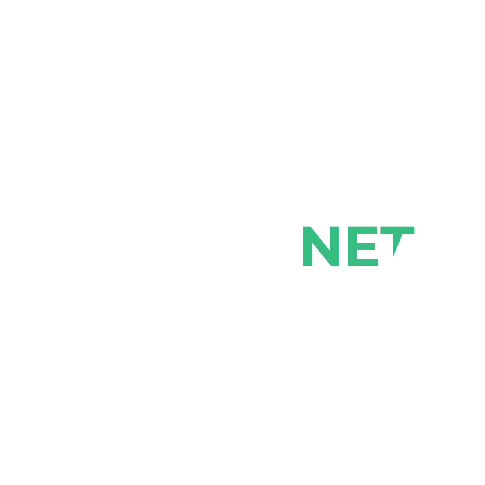 Logo DigitalNet